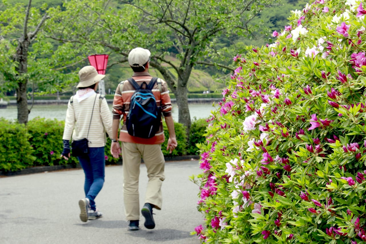 藤枝市 蓮花寺池公園内にあるジャンボ滑り台がリニューアル 10 7から供用開始されています 号外net 藤枝市 焼津市 島田市 牧之原市